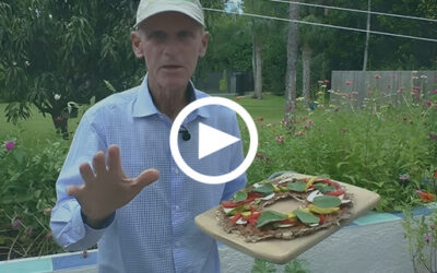 Get Ready for a Taste Explosion – Super Duper Raw Vegan Pizza That’s Out of This World